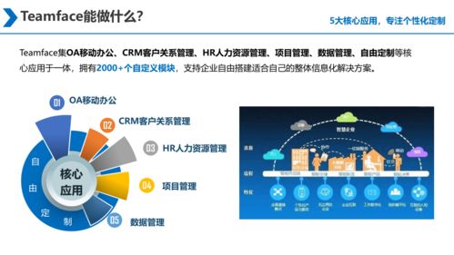 大型集團(tuán)企業(yè)是否需要購(gòu)買(mǎi)企業(yè)信息化系統(tǒng)源代碼進(jìn)行多次開(kāi)發(fā)